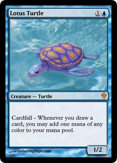 Lotus Turtle