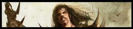 VolBanner